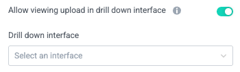 interface_input_upload_allow_view_in_drilldown_interface.png