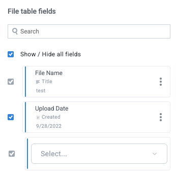 interface_input_upload_file_table_fields.png